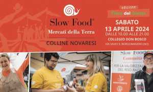 mercat colline nov foto