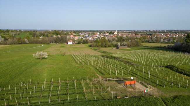 mezzomerico big bench 3