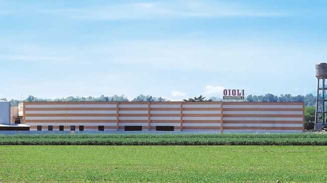 oioli caseificio cavaglietto