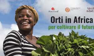 orti africa