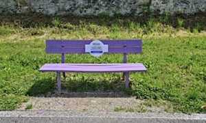 panchina lilla gozzano