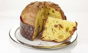 panettone foto