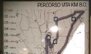 percorso vita