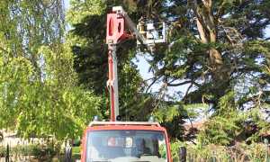 pianta vigili fuoco scala