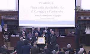 premio pro loco fontaneto cipolla