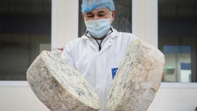 produzione gorgonzola dop