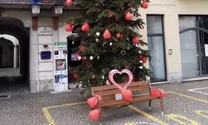 romagnano albero cuori