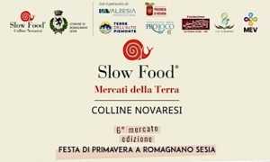 romagnano mercato terra 25