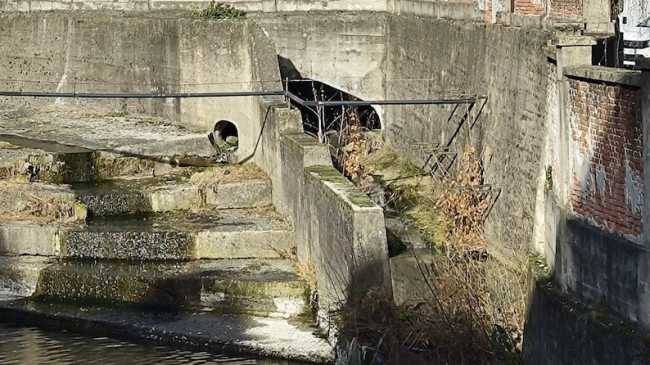 romagnano rio cinguelli 2