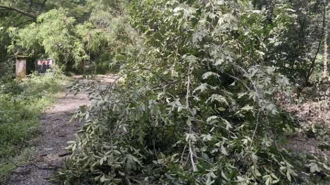 romagnano sopralluogo maltempo