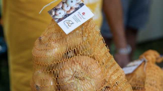 sacchetto cipolla bionda