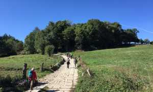 sentiero inpiano verde