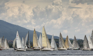 societa delle regate