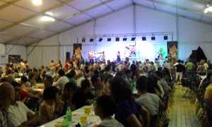 tendone modificato 1