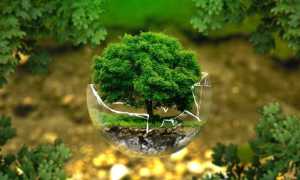 tutela ambientale modificato 1