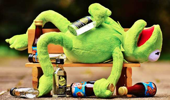 ubriaco ranocchio panchina