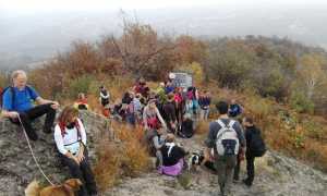 un momento della camminata