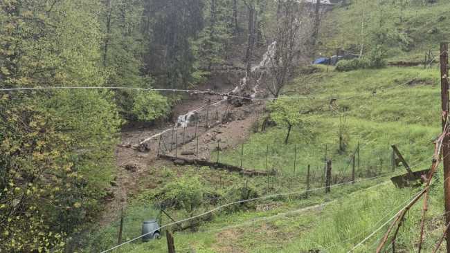 vigneti maltempo coldiretti