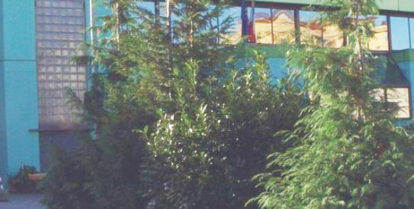 scuola arona e fermi