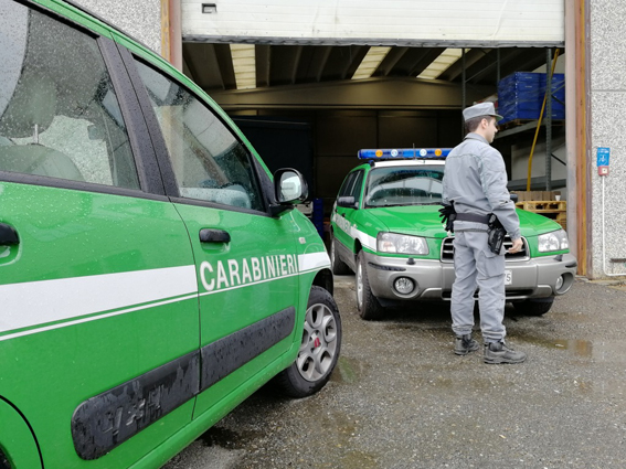 forestale cavallirio