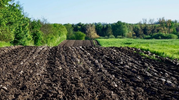 campo arato