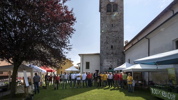 cureggio gruppo