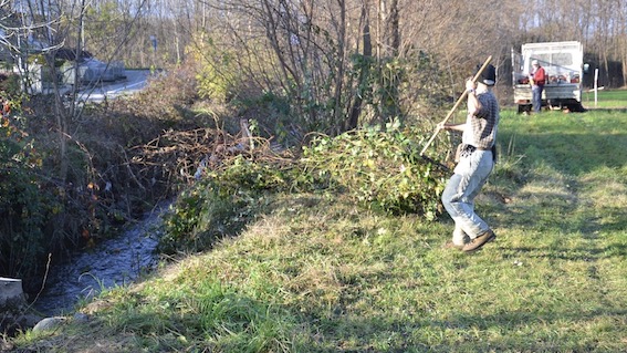 pulizia alveo agogna