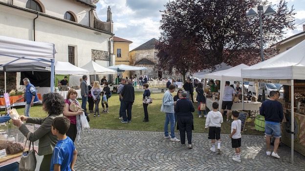 cureggio naturale repertorio