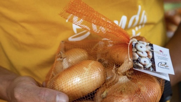 cipolla bionda presidio slow food 2