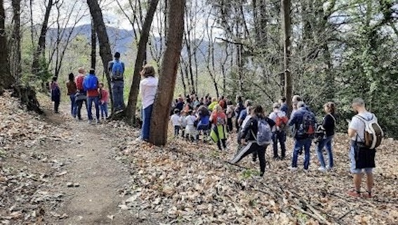 girolago bimbi repertorio 24