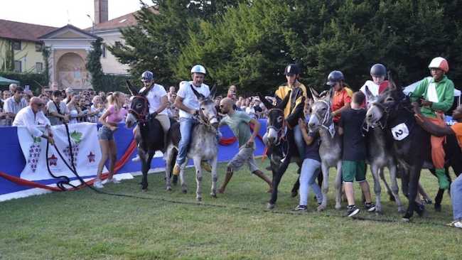 palio asini borgo 24