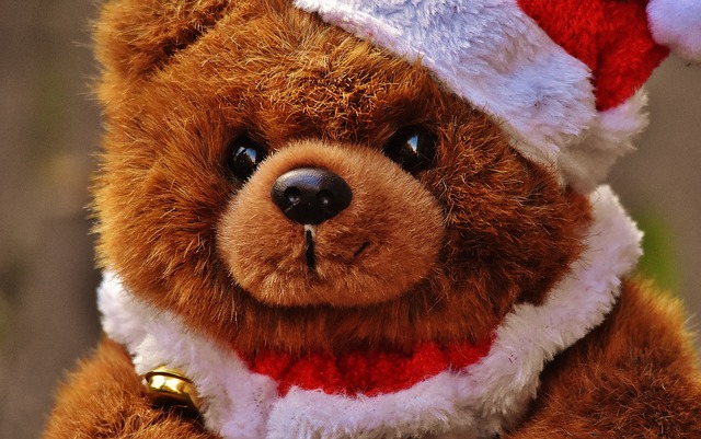 orso natale
