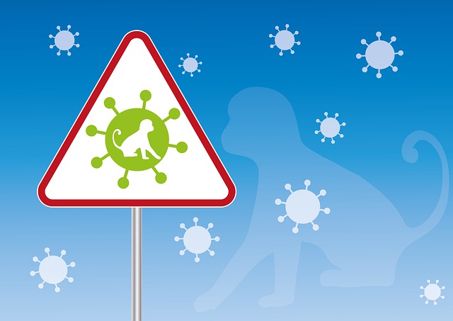 monkeypox 7224613 640